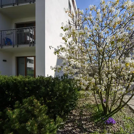 Maya's Flats & 81 - 3 Flat In Garnizon *